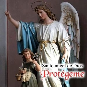 Meet your Posher, Elsa